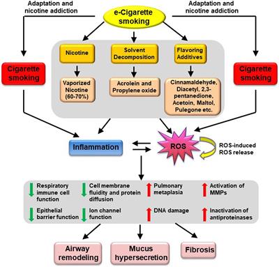 More to Explore: Further Definition of Risk Factors for COPD – Differential Gender Difference, Modest Elevation in PM2.5, and e-Cigarette Use